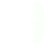 Kili Kili Store - Logo 7